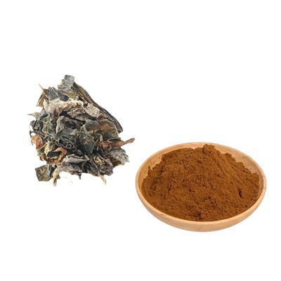 Earrann ceilpe airson lusan